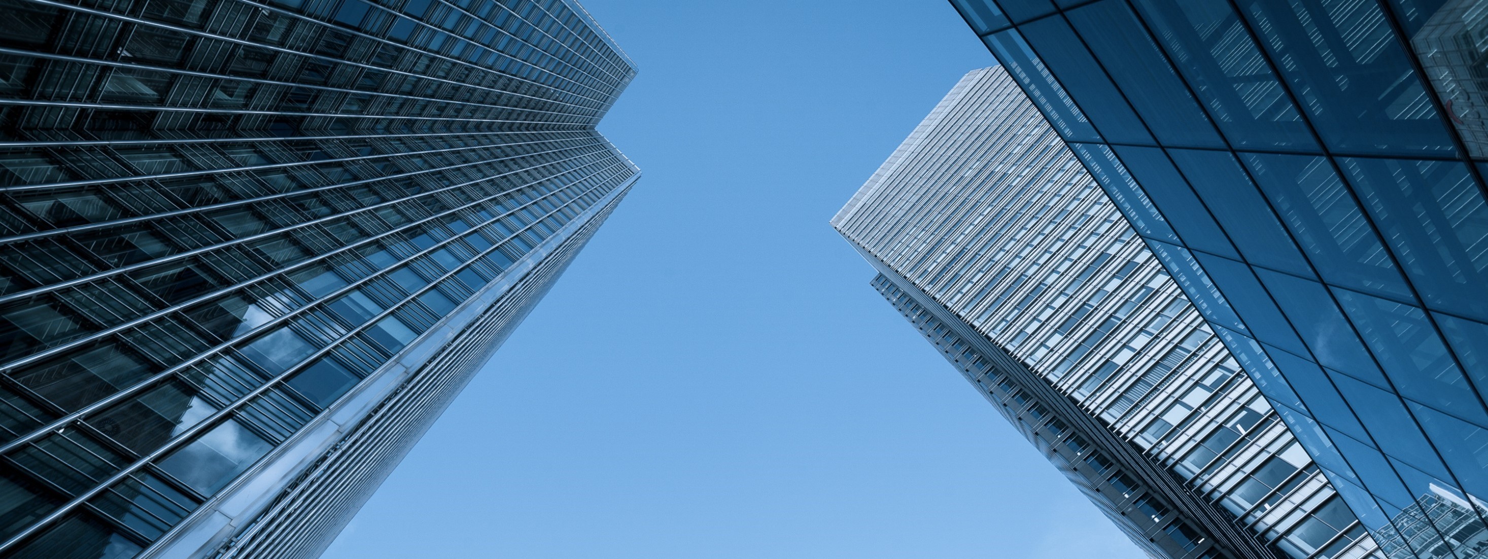 Review Investment Market