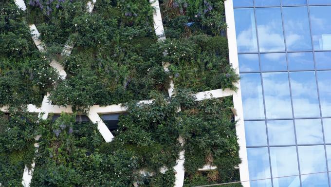 Facade green building