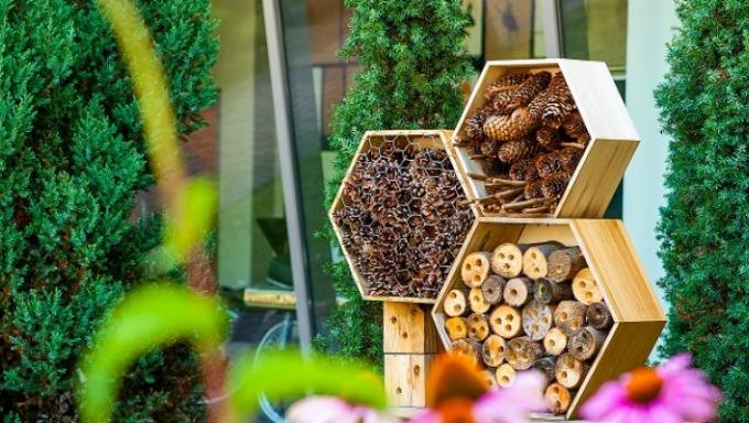 biodiversity in cities