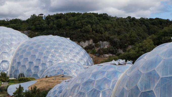 mammoth tropical garden